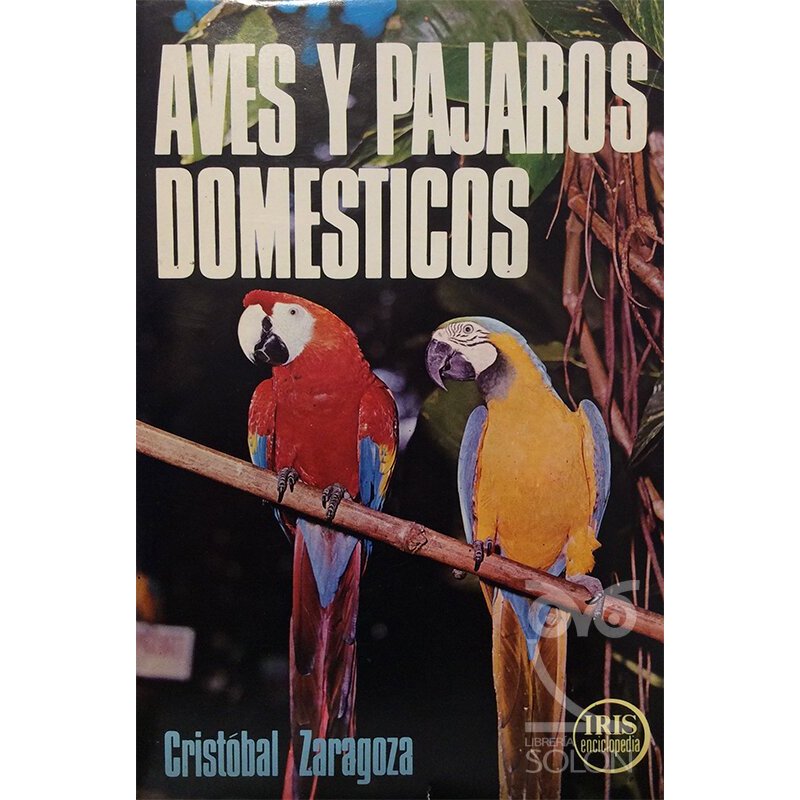 Aves y pájaros domésticos - Rfa. 73766