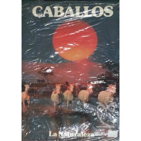 Caballos - Rfa. 73937
